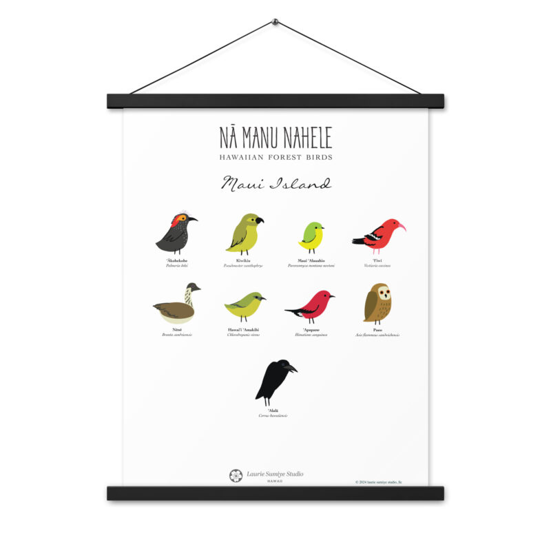 Maui Bird Poster on Wood Hangers / 18 x 24 - Image 2