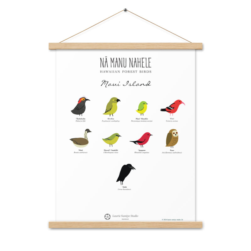 Maui Bird Poster on Wood Hangers / 18 x 24